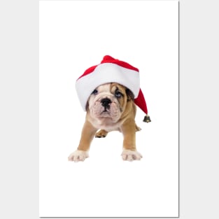 Pug Puppy Santa Claws Posters and Art